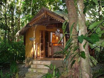 Korrigan 4* Punta Uva