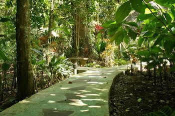Korrigan 4* Punta Uva