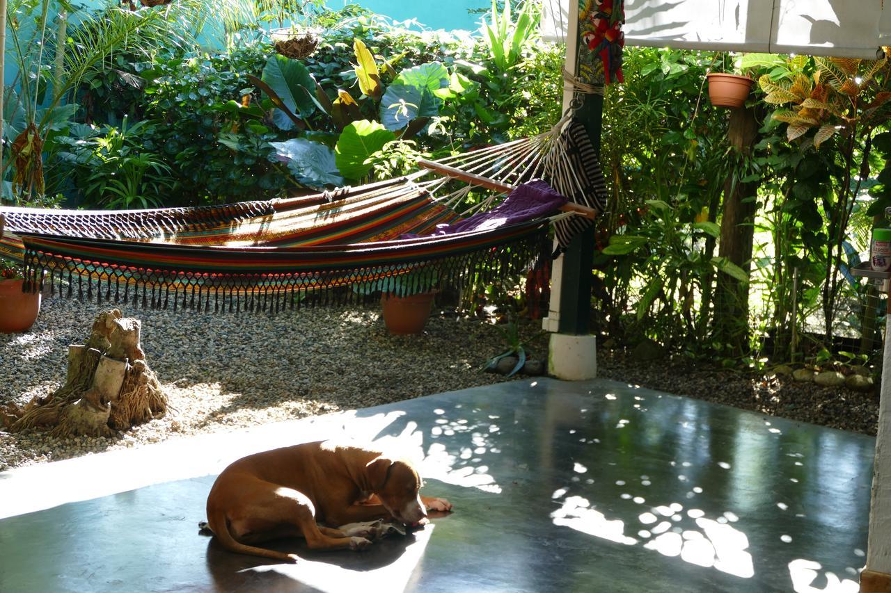 Casa Celeste Del Golfo Dulce * Puerto Jimenez