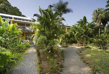 Del Caribe 3* Puerto Viejo de Talamanca