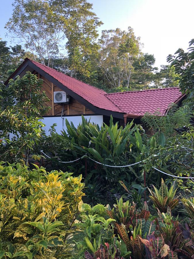 Casa Shaquir H -luxury With Private Pool & Stunning Views * Puerto Viejo de Talamanca