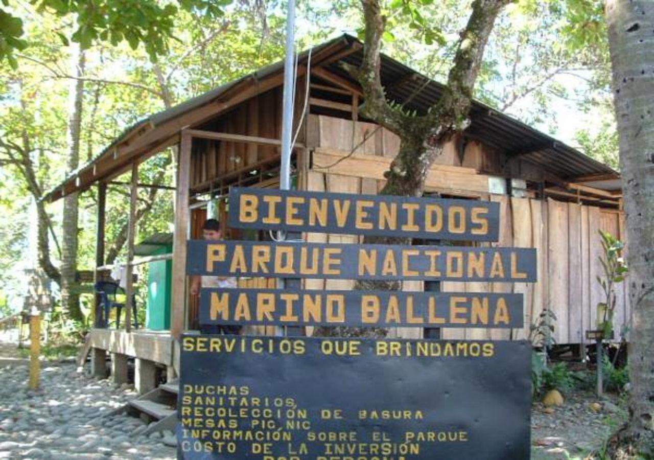 Casa Morpho * Uvita