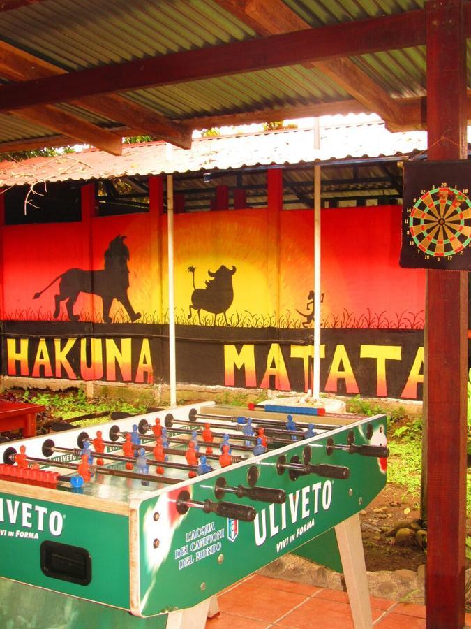 Hakuna Matata Hostel