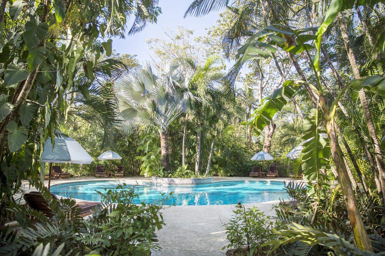 The Harmony Hotel