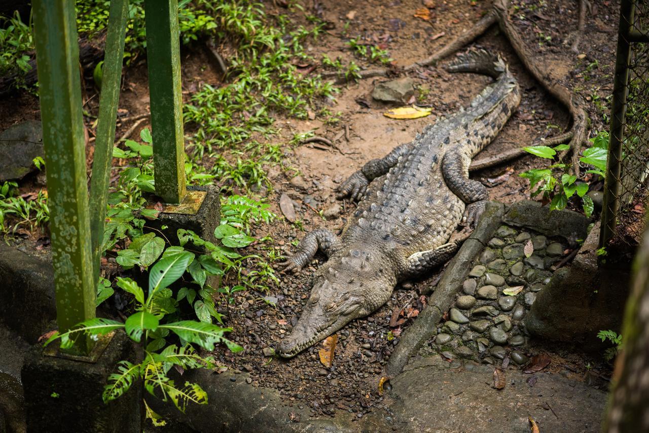 Si No & Wildlife Refuge Manuel Antonio