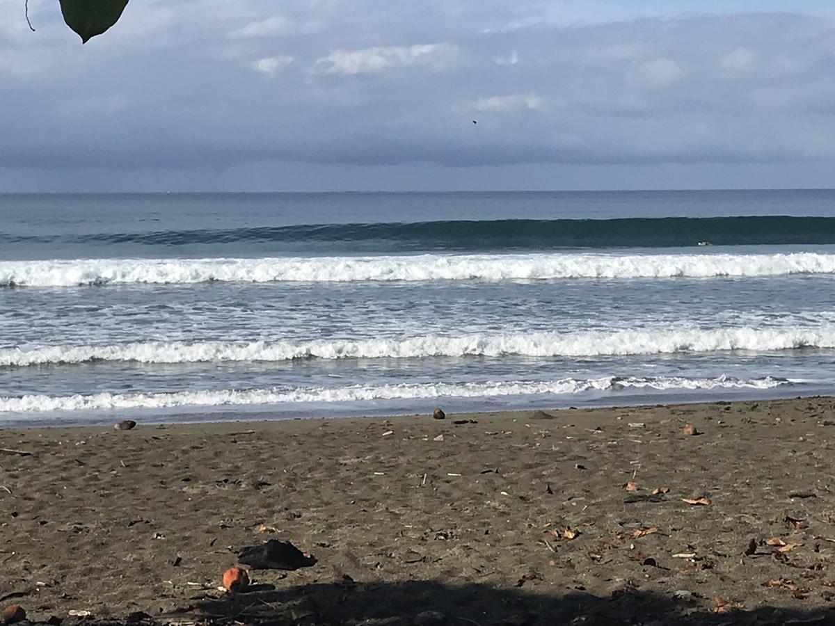 Ocean Melody * Uvita