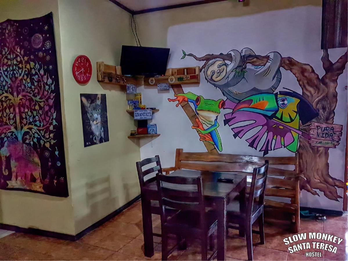 Guest house Slow Monkey *
