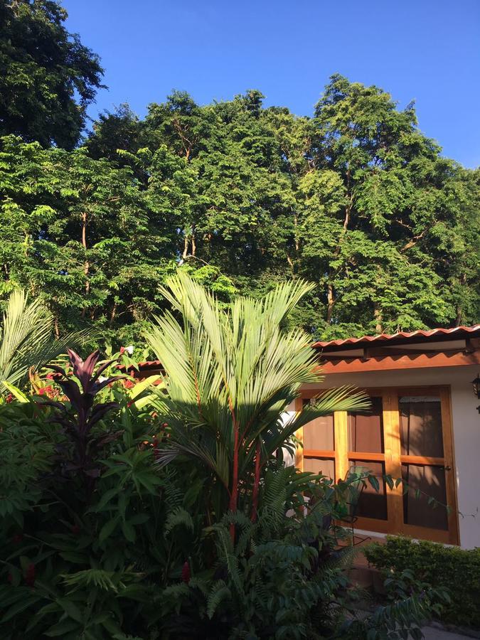 Indalo Adults Only 3* Puerto Viejo de Talamanca