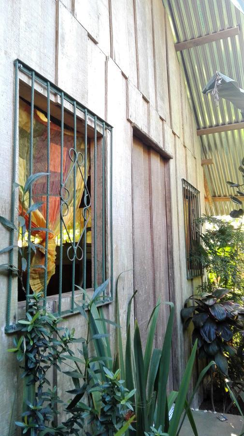 Eco Bosque Los Paniquines *