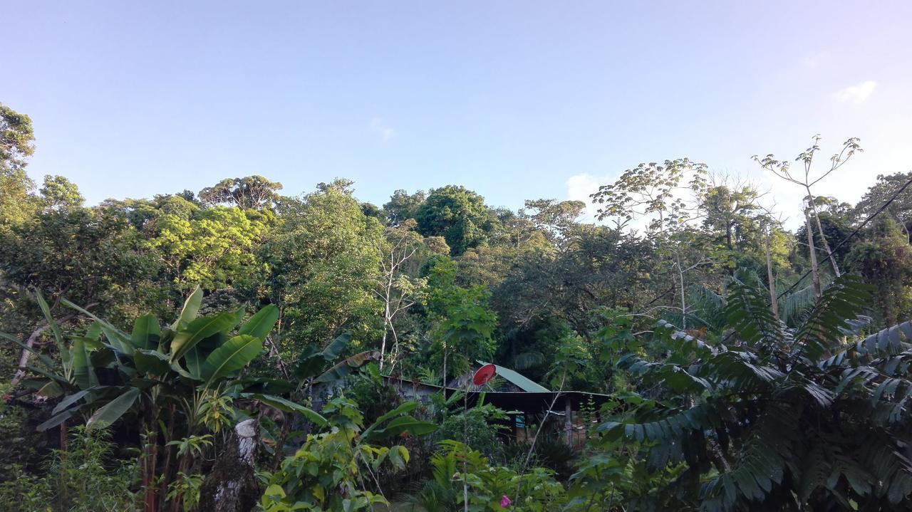 Bed & Breakfast Eco Bosque Los Paniquines *