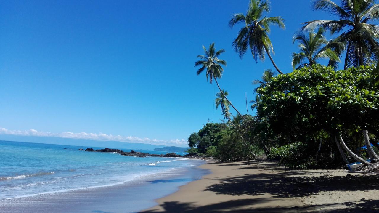 Eco Bosque Los Paniquines * Drake Bay