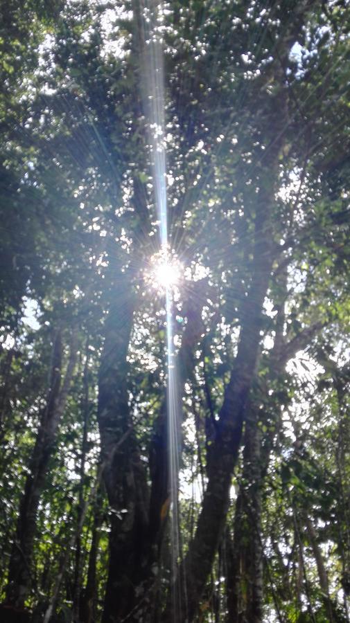 Eco Bosque Los Paniquines Bed & Breakfast *