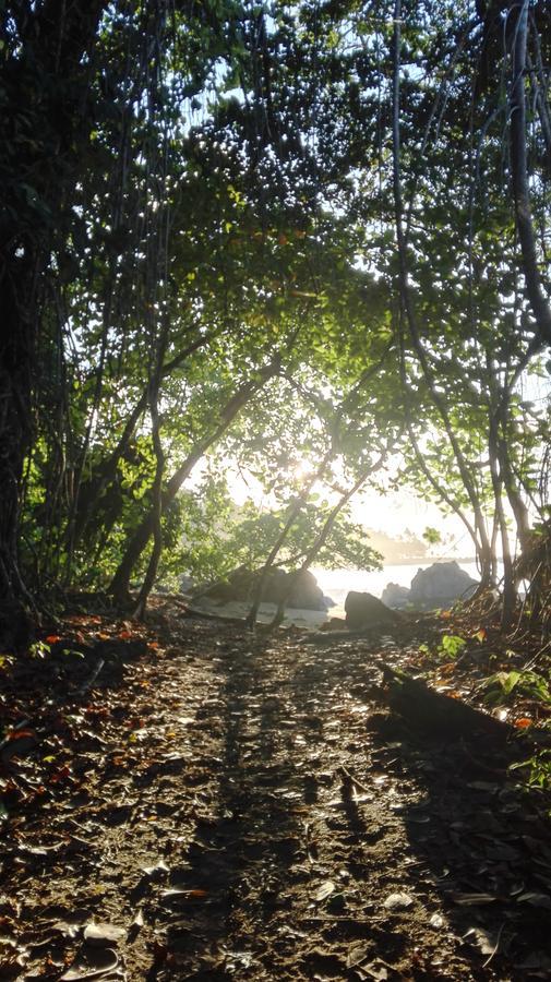 Eco Bosque Los Paniquines