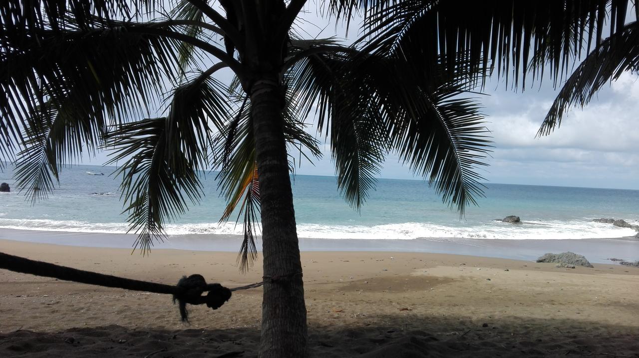Eco Bosque Los Paniquines * Drake Bay
