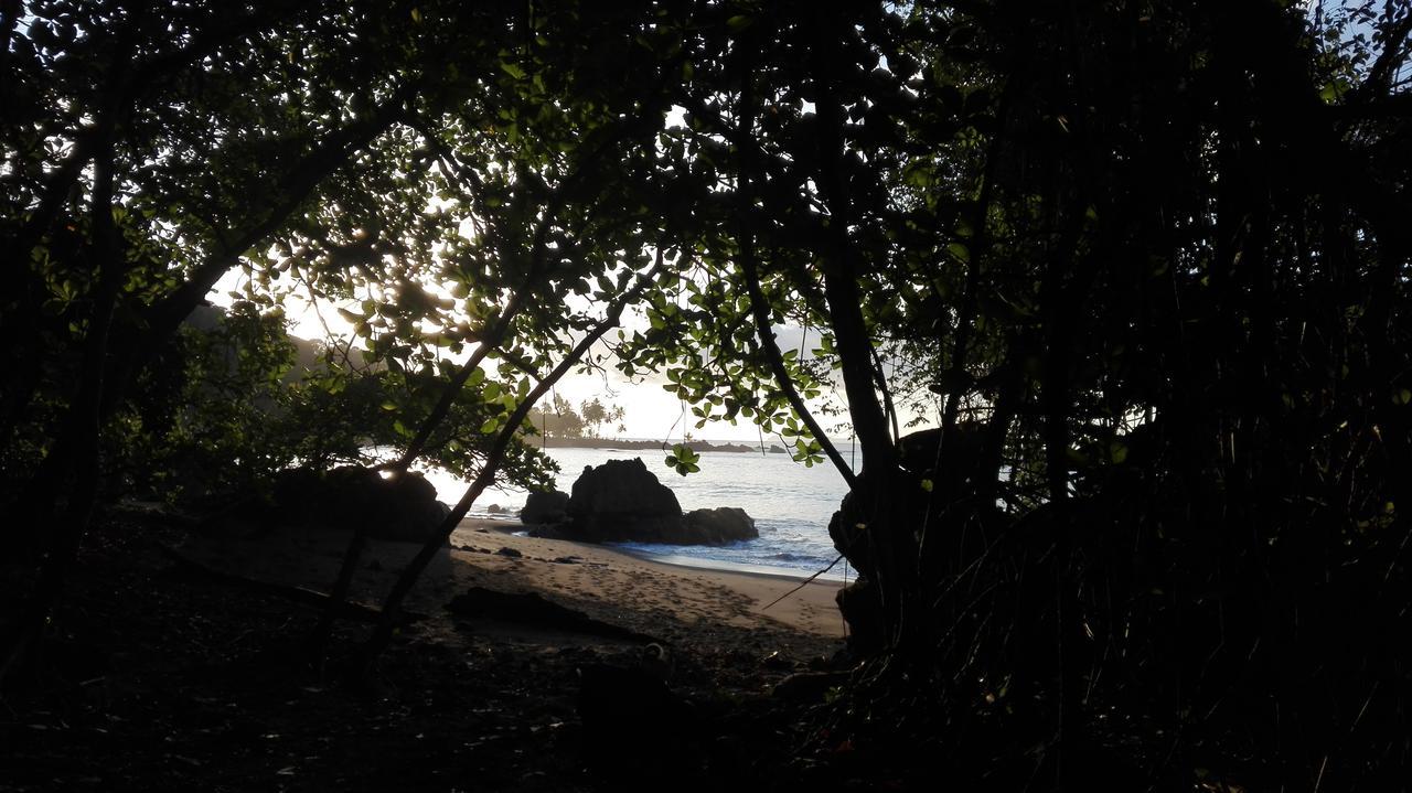 Eco Bosque Los Paniquines Bed & Breakfast *