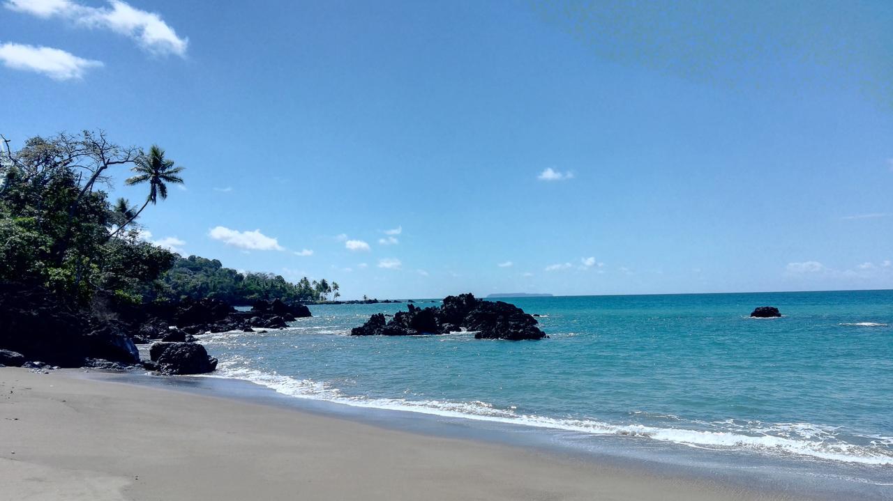 Eco Bosque Los Paniquines Bed & Breakfast Drake Bay