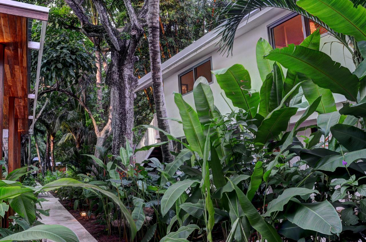 Hotel Moana Surf Nosara