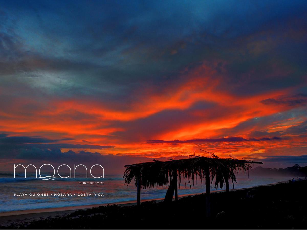 Moana Surf Hotel