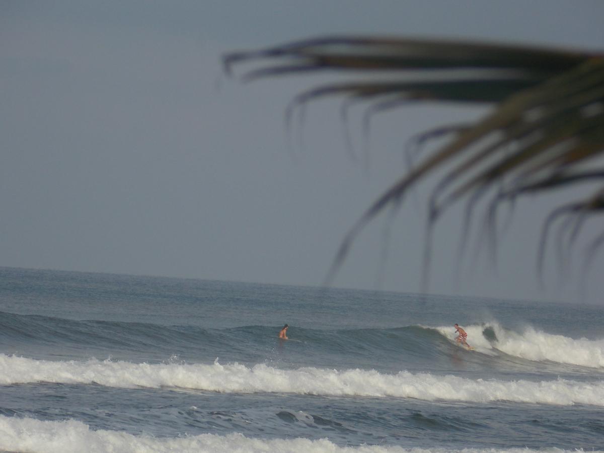 Piramys And Tours In Hostel Dominical