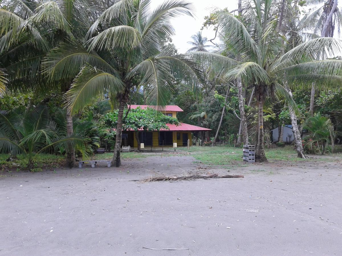 Dos Palmas Beach Front Bed & Breakfast *