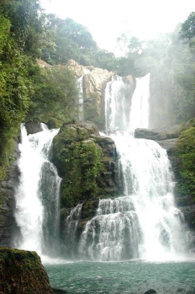 Piramys And Tours In Hostel Dominical