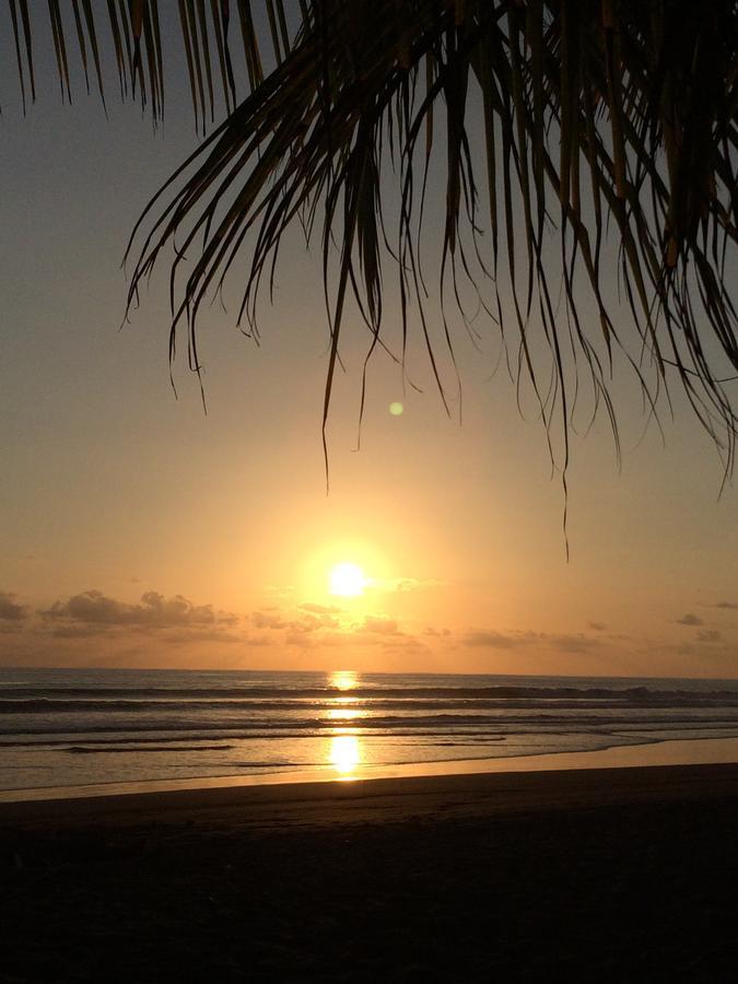 Dos Palmas Beach Front Bed & Breakfast