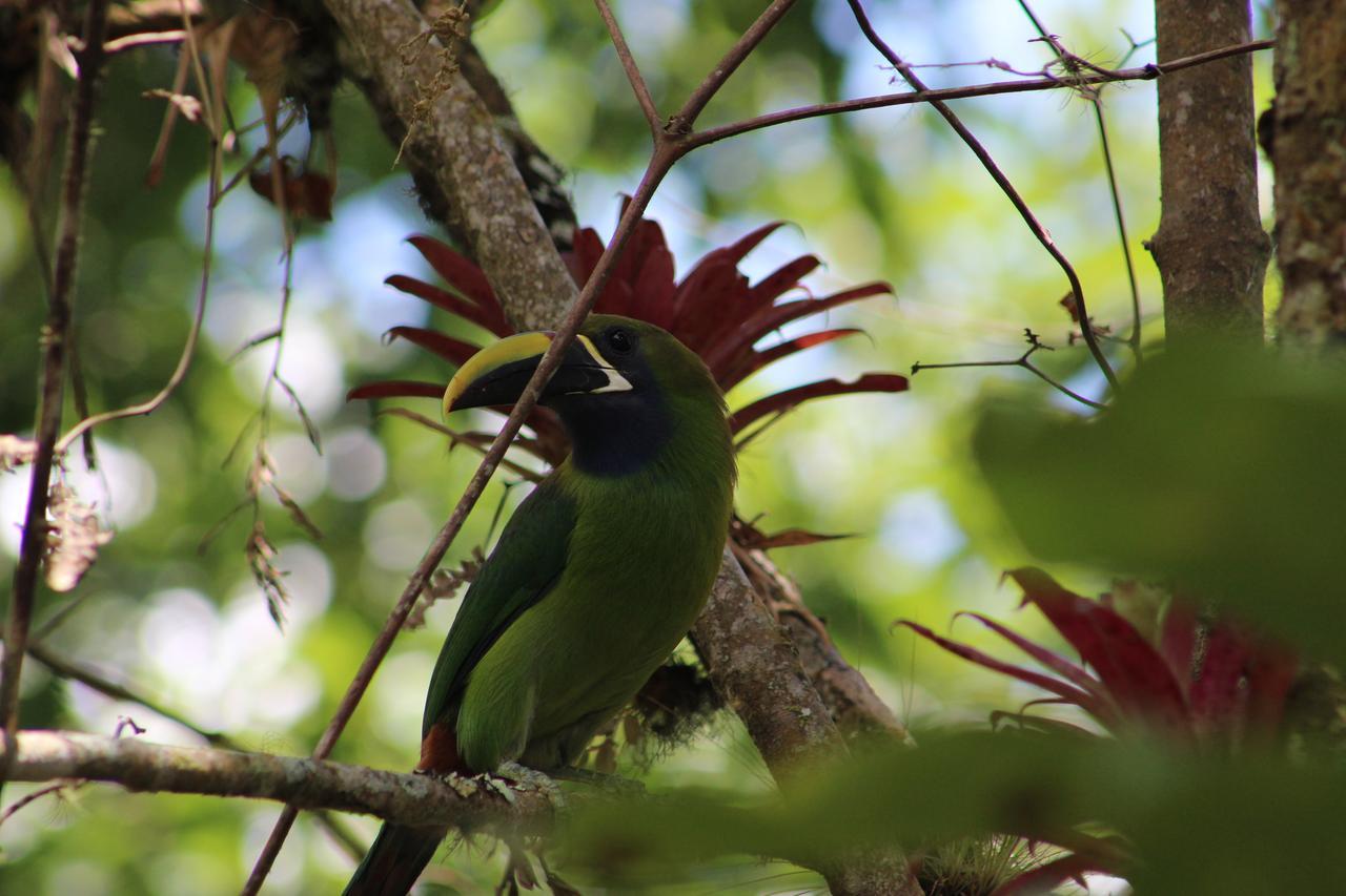 Hotel Talamanca Nature Reserve Rivas