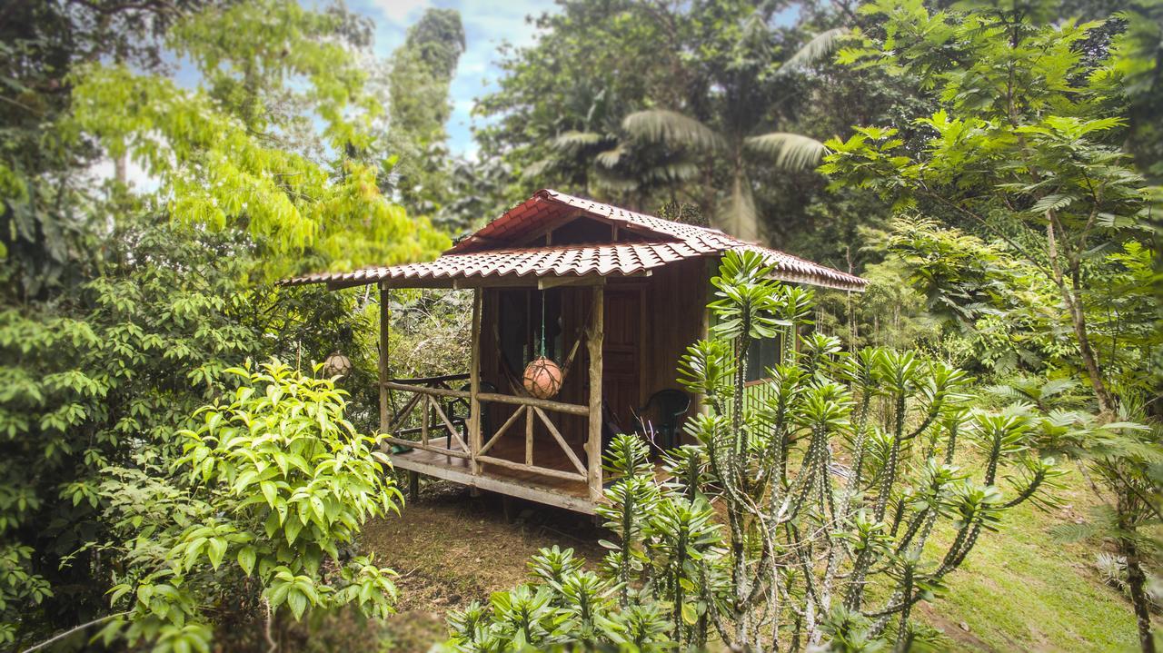 Hotel Naguala Jungle