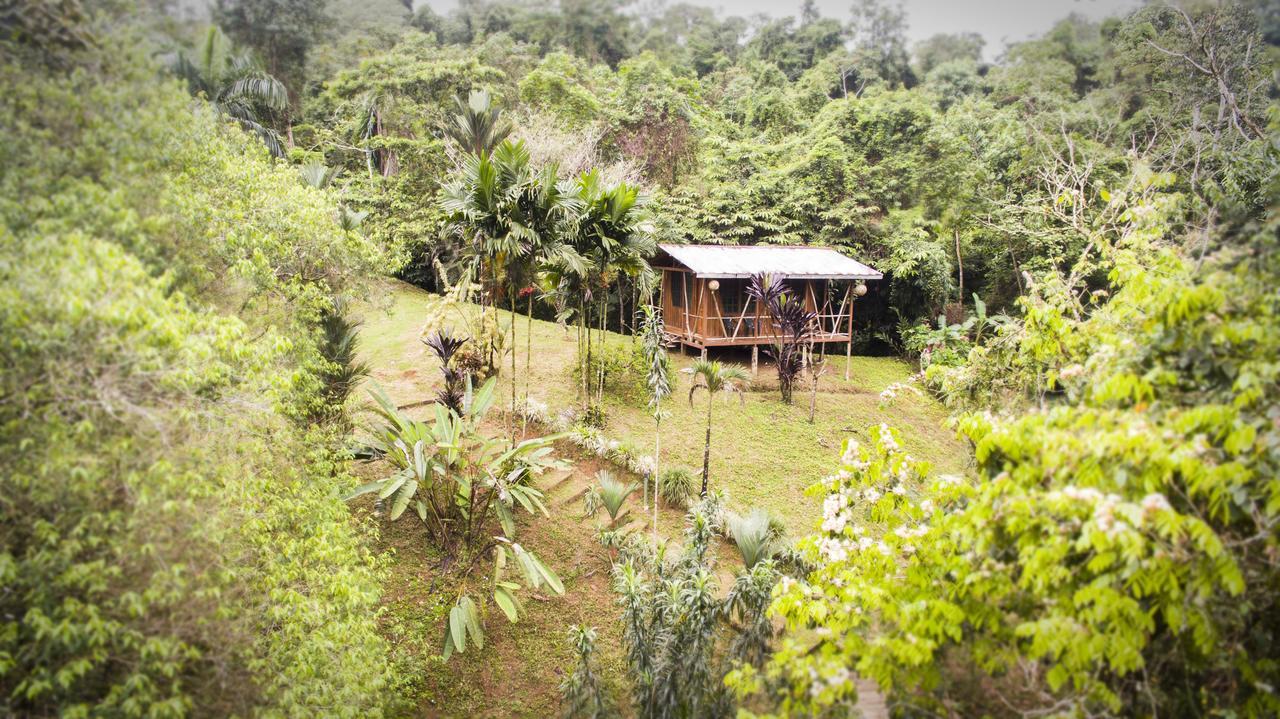 Hotel Naguala Jungle 2*