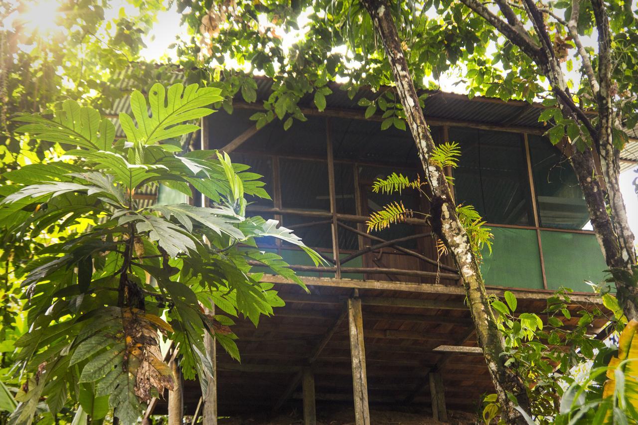 Naguala Jungle