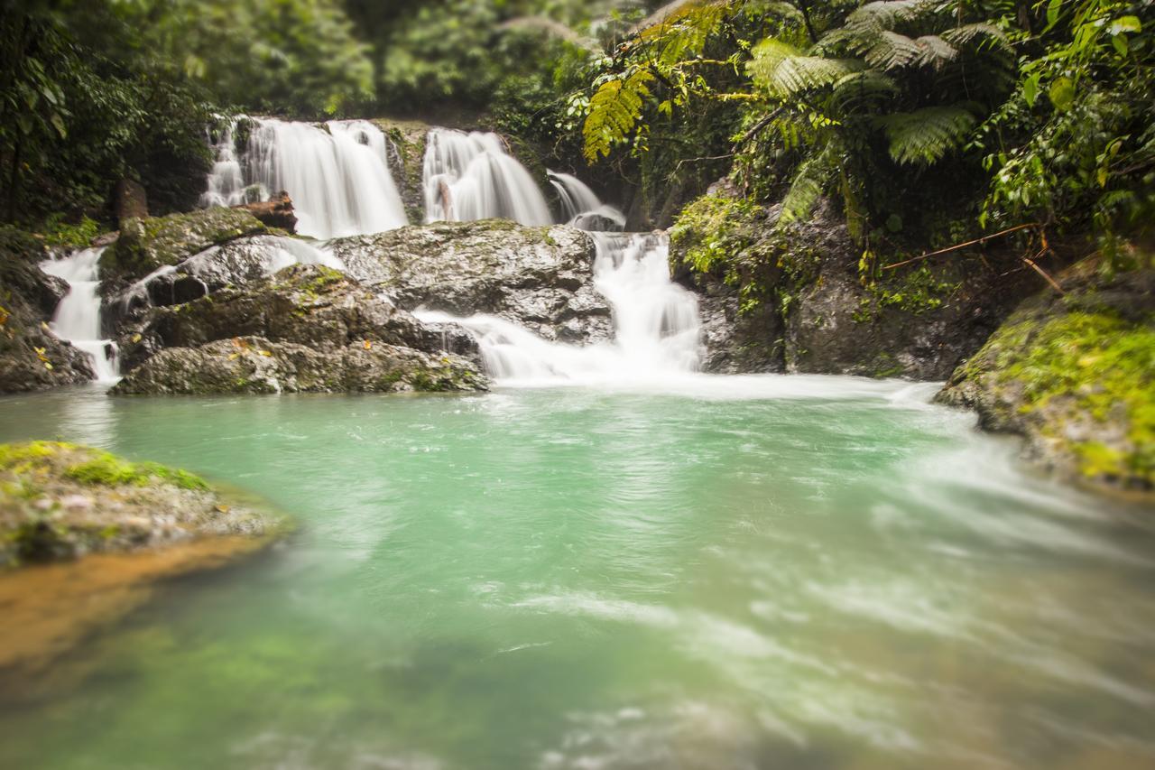 Hotel Naguala Jungle
