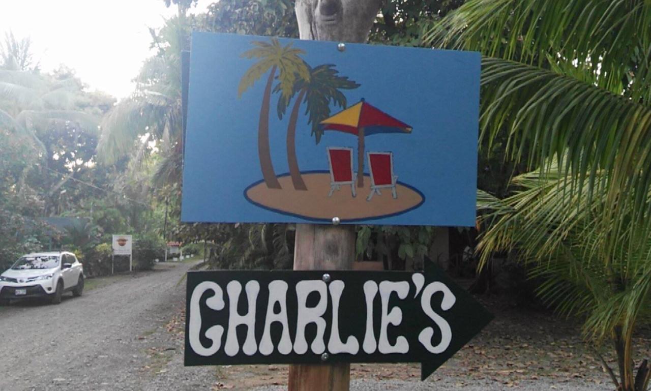 Guest house Charlie's Jungle House