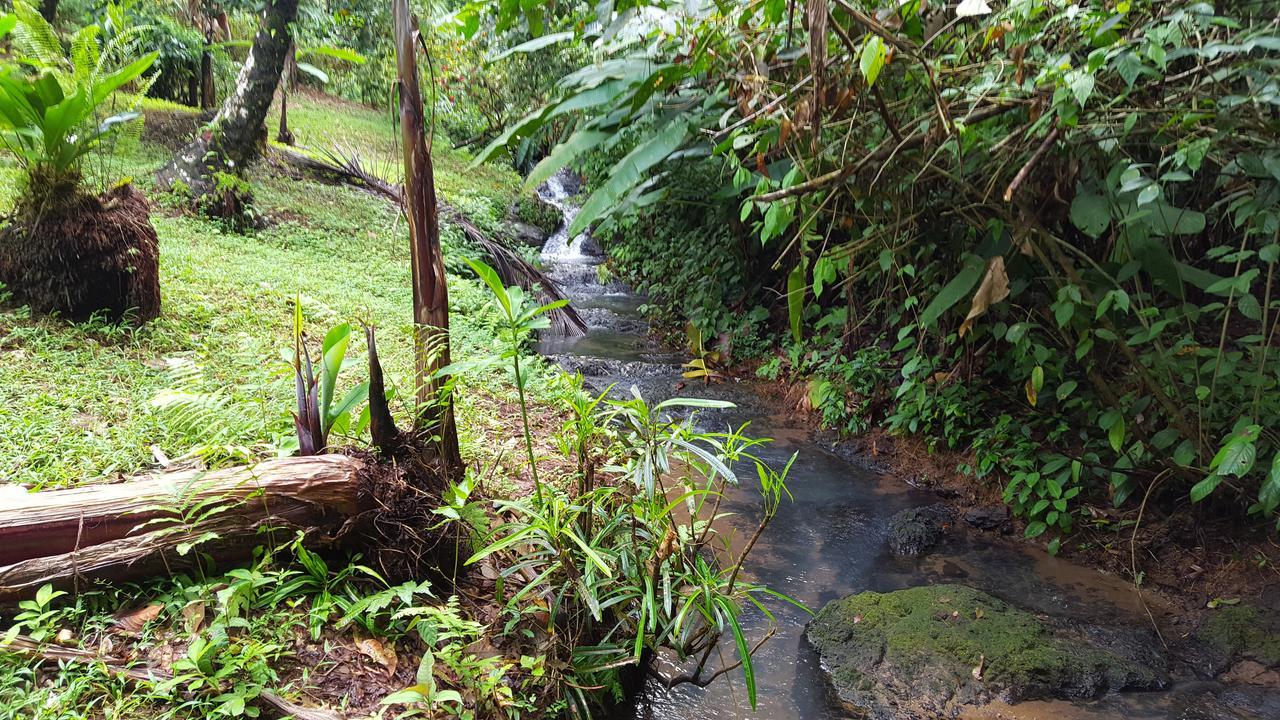 Sukia Hostel 2* Drake Bay