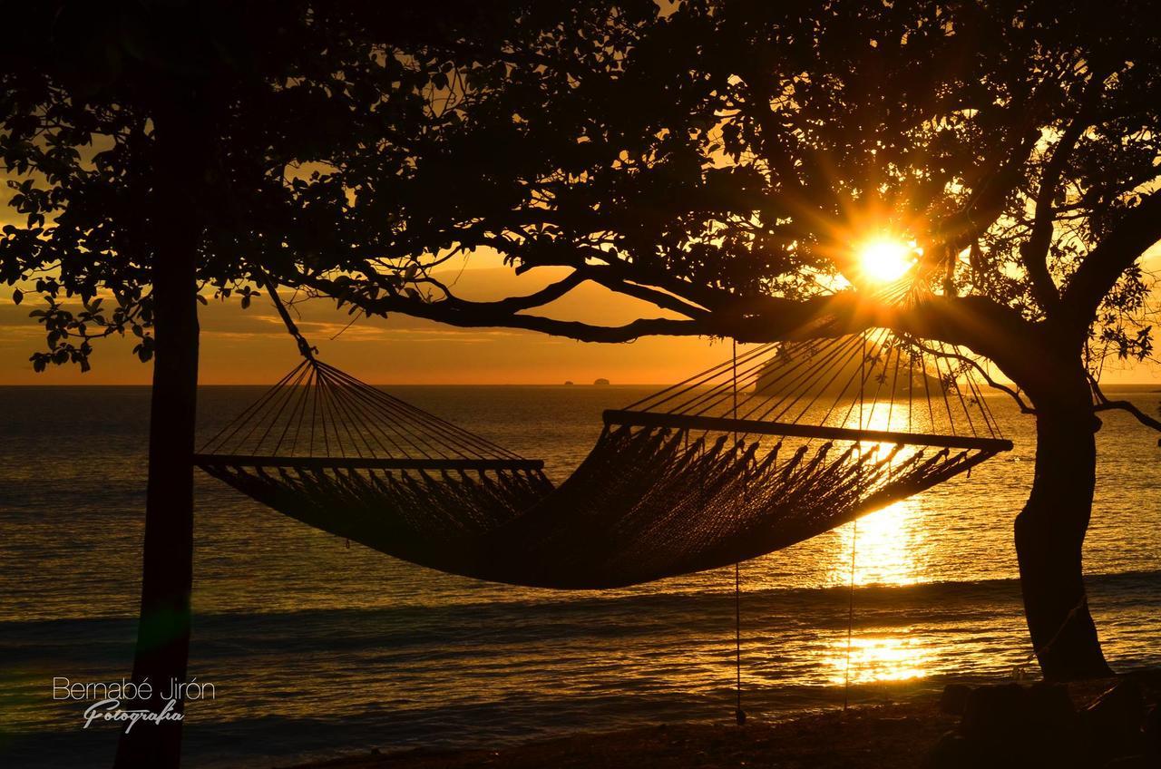 Casandreas GUANACASTE