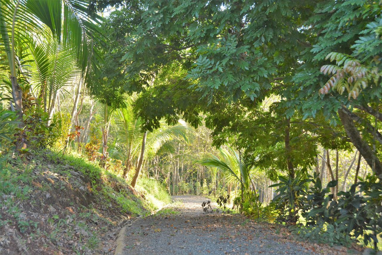 Bed & Breakfast Margouillat Tambor (Puntarenas)