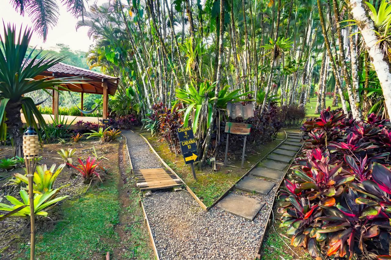 Lodge Macaw Carara