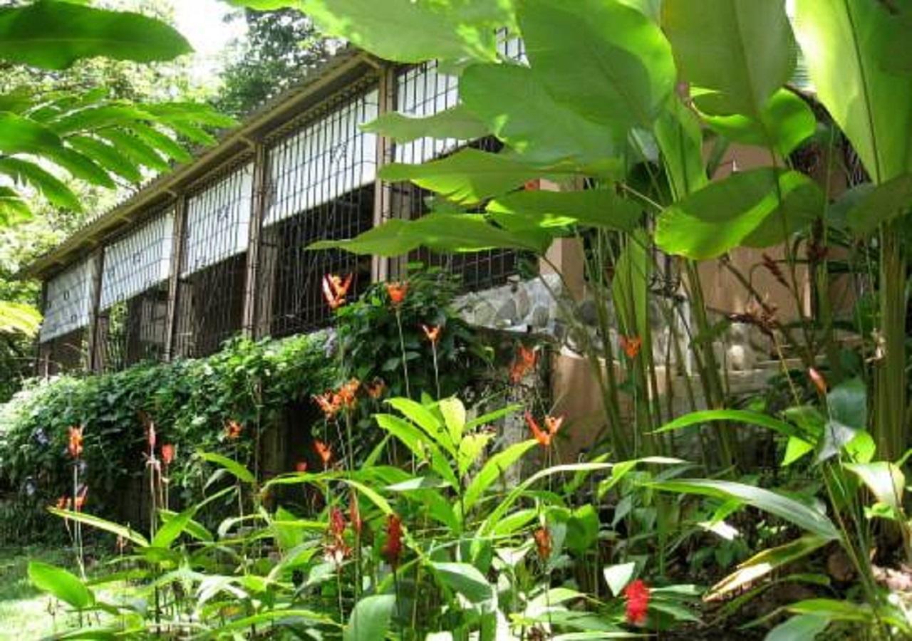Holiday home Casa Manuel Antonio