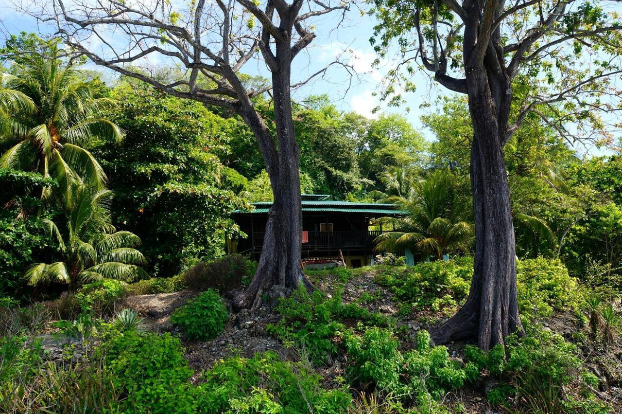 Luminosa Hostel Montezuma