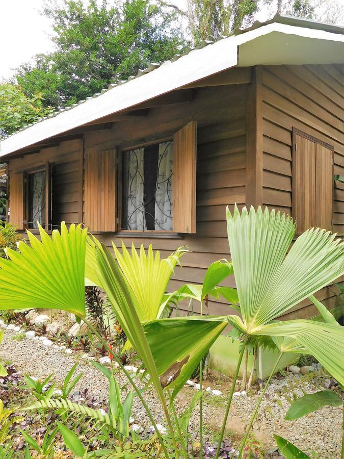 Apartment Casa Lina Sloth View Exotic With Privat Kitchen Puerto Viejo de Talamanca