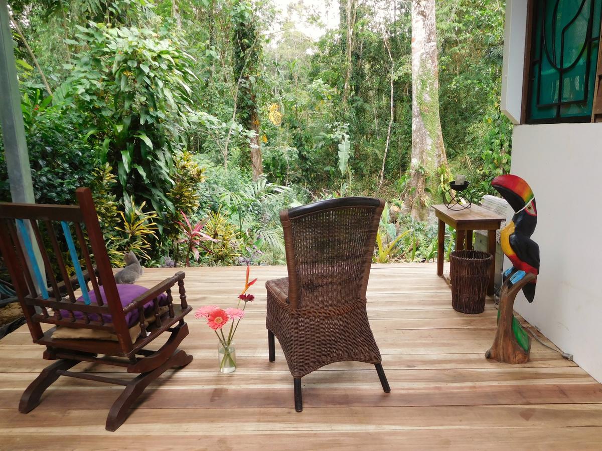 Casa Lina Sloth View Exotic With Privat Kitchen Apartment