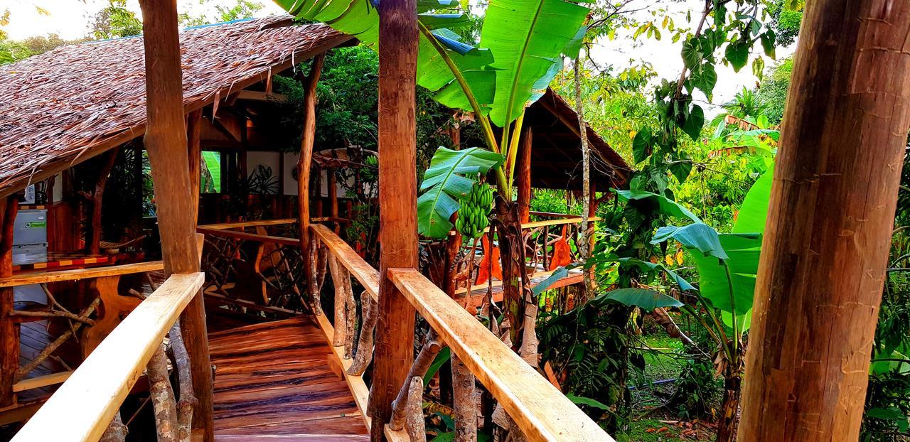 3 Bamboo Eco Cahuita