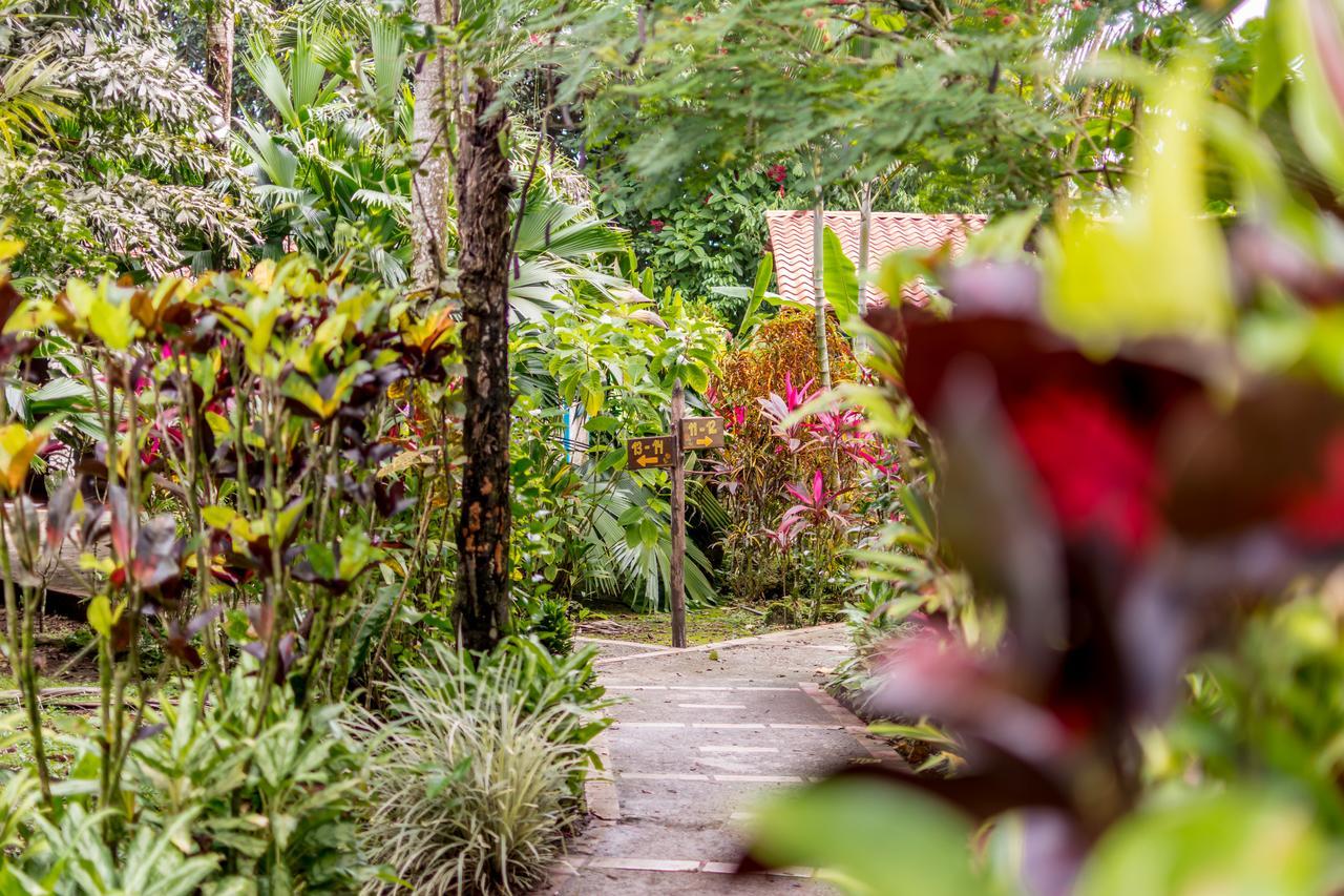 Atlantida Lodge Cahuita