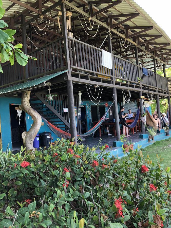 Hostel Luminosa Montezuma