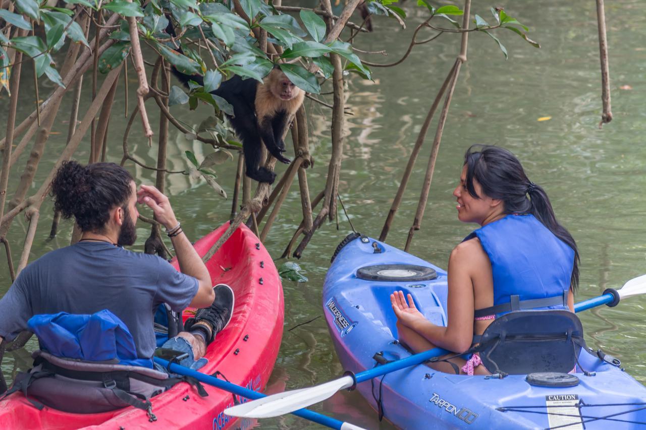 Kayak Hotel Damas