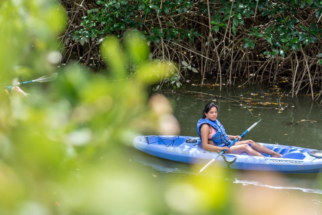 Hotel Kayak
