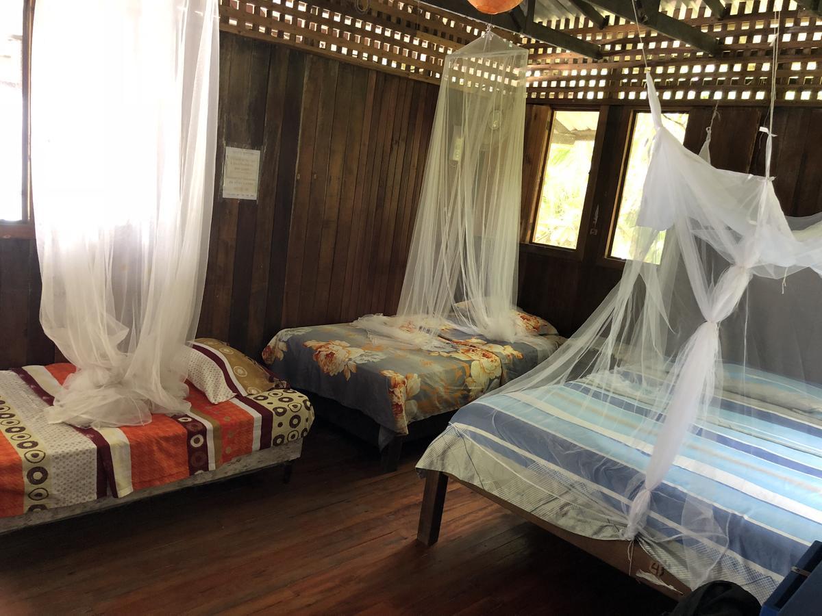 Hostel Luminosa Montezuma