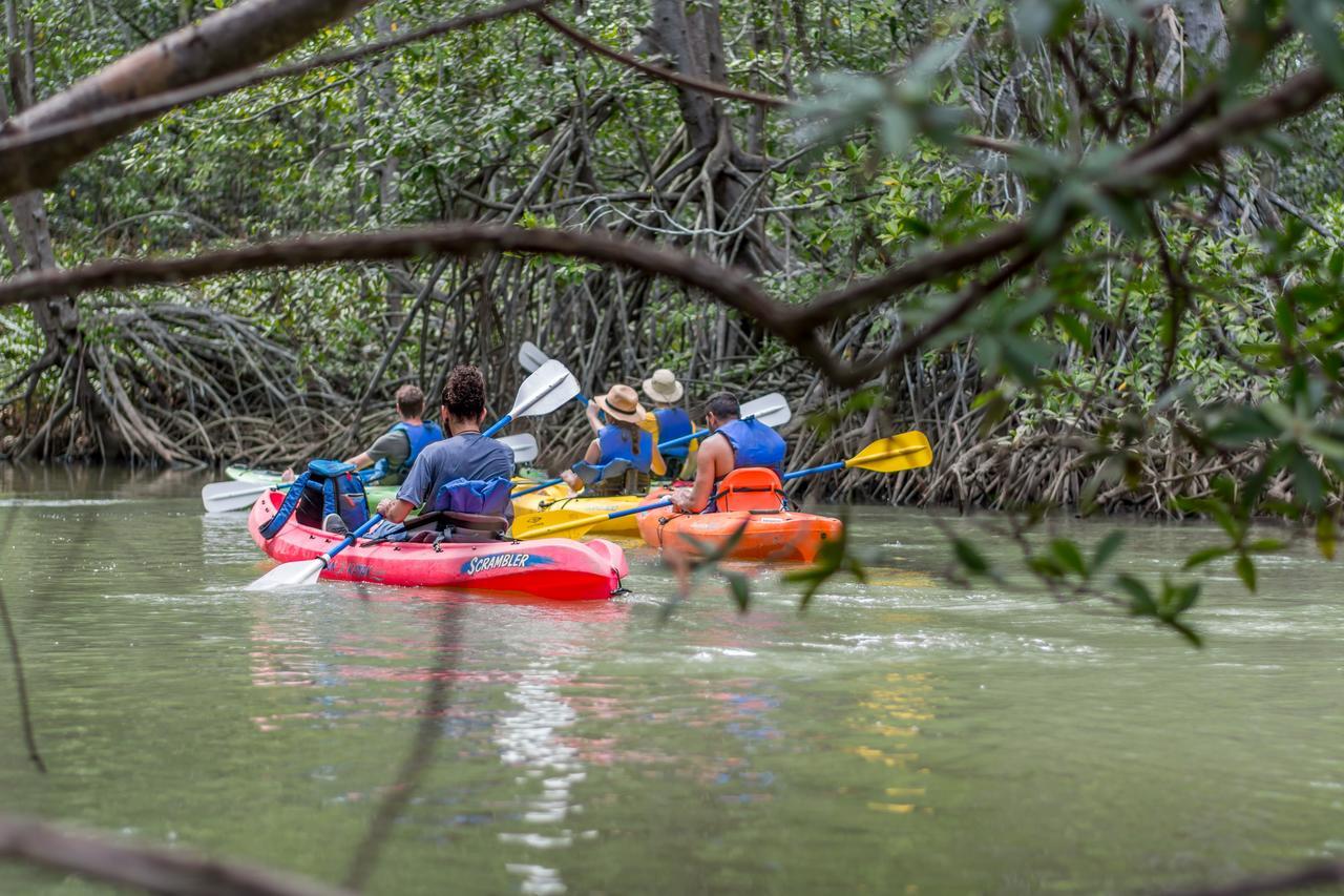 Kayak Damas