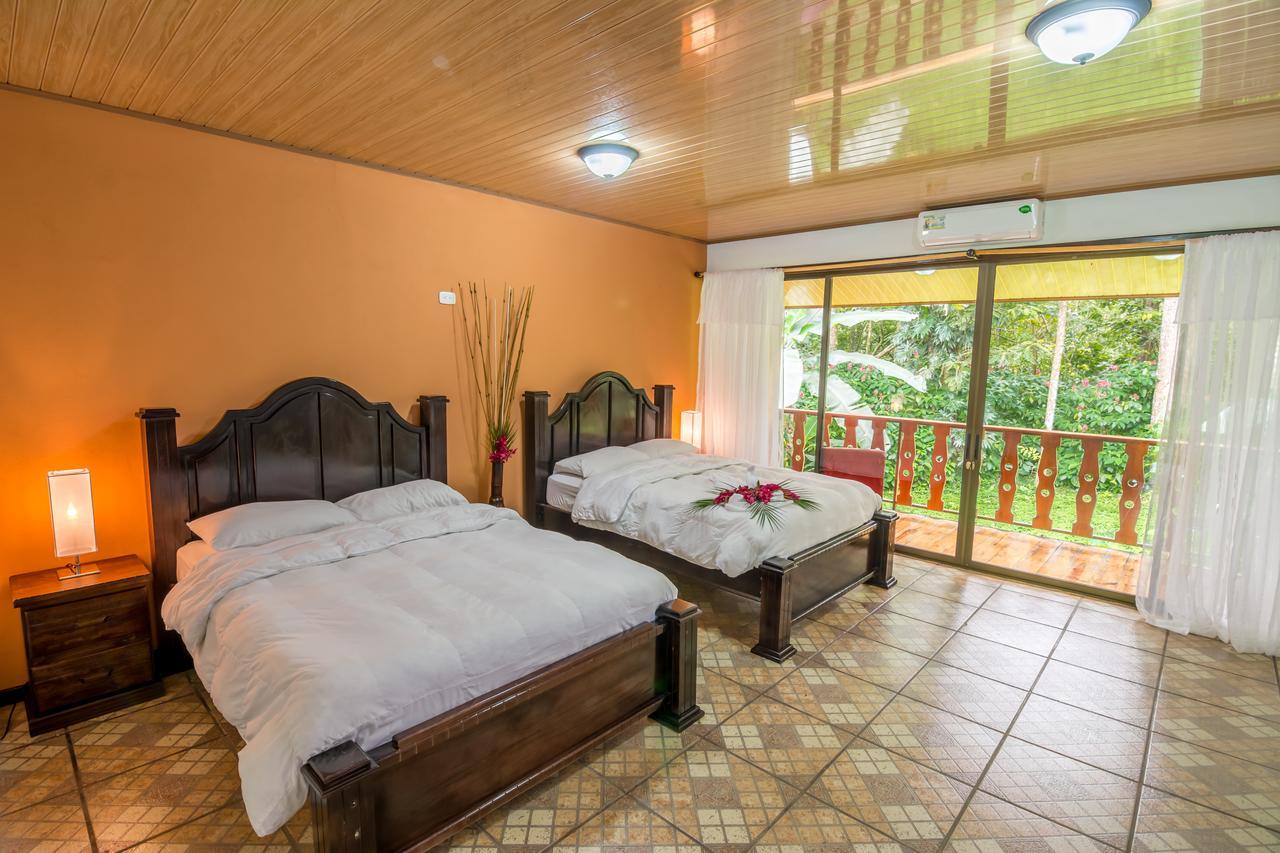 Ara Ambigua Hotel Sarapiqui