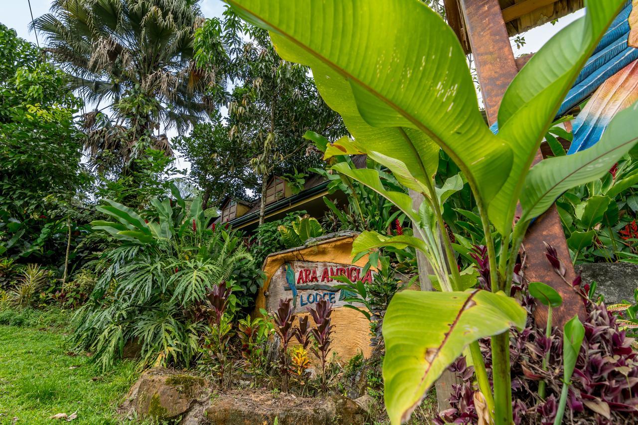 Ara Ambigua Hotel 2*