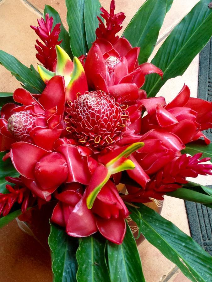The Goddess Garden Eco-resort 3* Cahuita